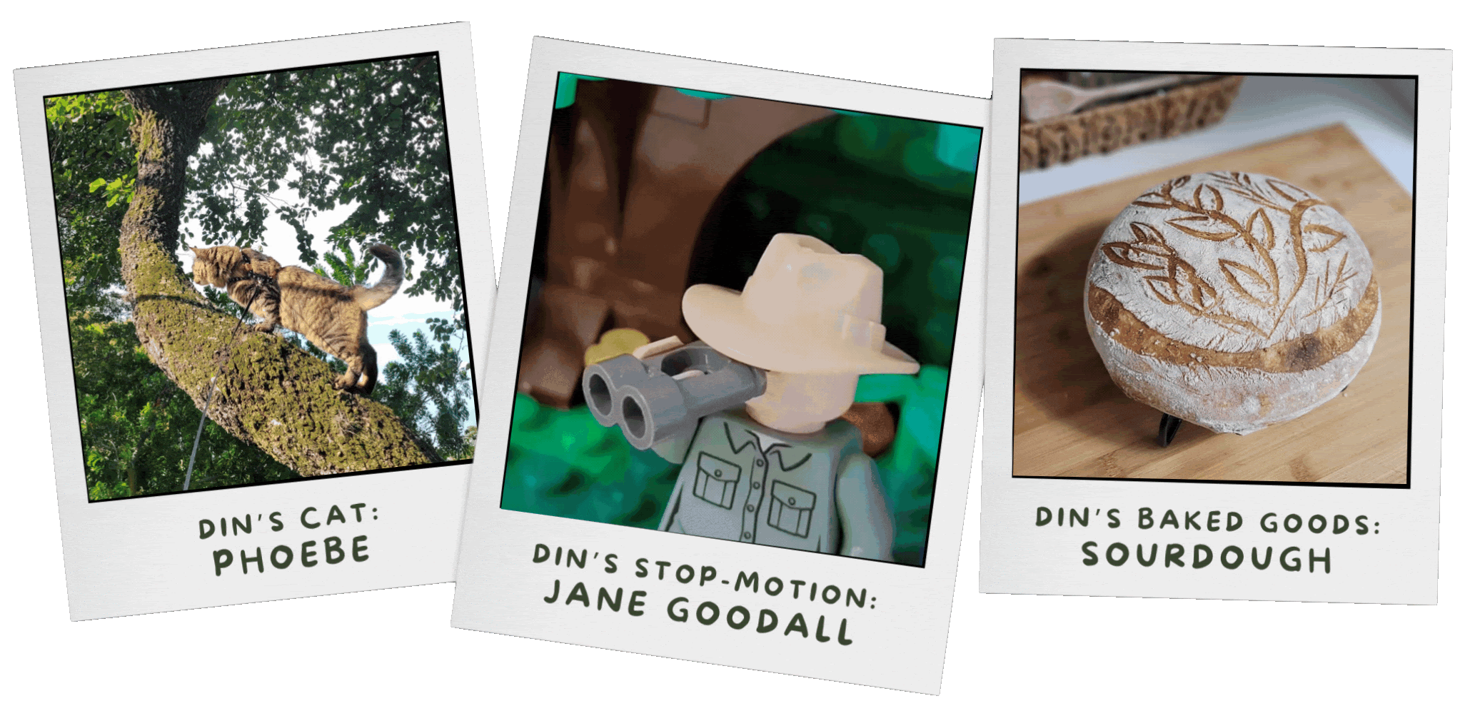 Din's hobbies